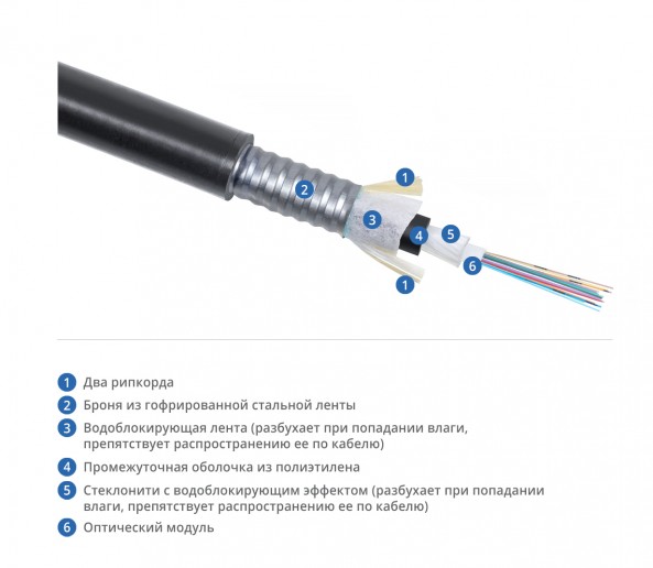 Cabeus CLT-A-4-01X24-Z-PE-ARM-PE-DD-OUT-40 Кабель волоконно-оптический 50/125 (OM3) многомодовый, 24 волокна, loose tube, бронированный стальной лентой, для внешней прокладки (-50C ~ +70), PE, черный